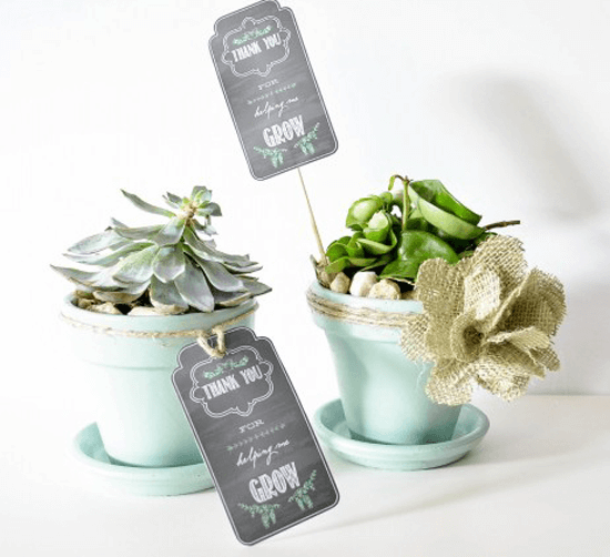 Teacher Appreciation Gift - Printable Plant Tag