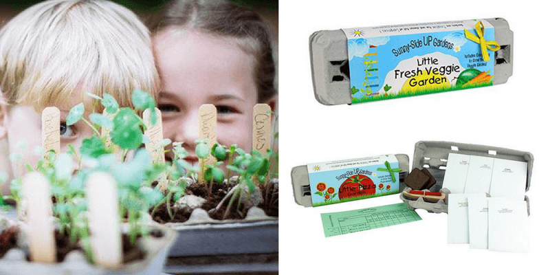Best Non-Toy Gift Guide for Kids - Grow your own garden kit