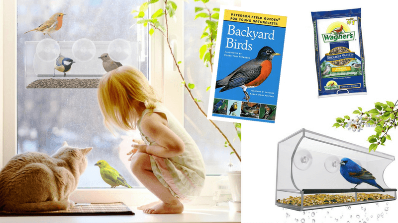 Best Non-Toy Gift Guide for Kids - bird feeder