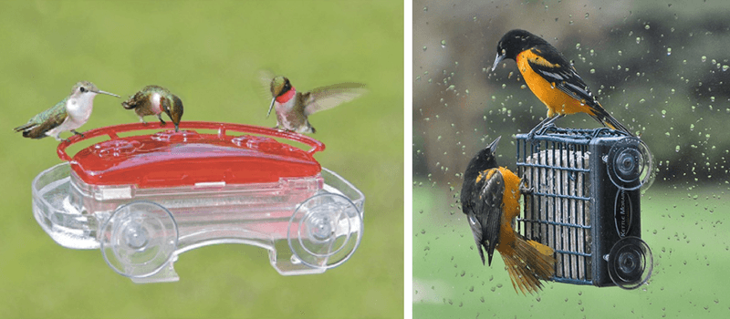 Best Gifts For Families | Suction Cup Window Bird Feeders