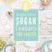 Easy Easter Cookie Ideas for Kids | Fun and simple sugar cookie designs with lots of bunnies, chicks, lambs and carrots! Tips and techniques for how to decorate cookies with royal icing. These make a cute Easter treat or dessert.