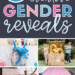 Unique Gender Reveal Ideas