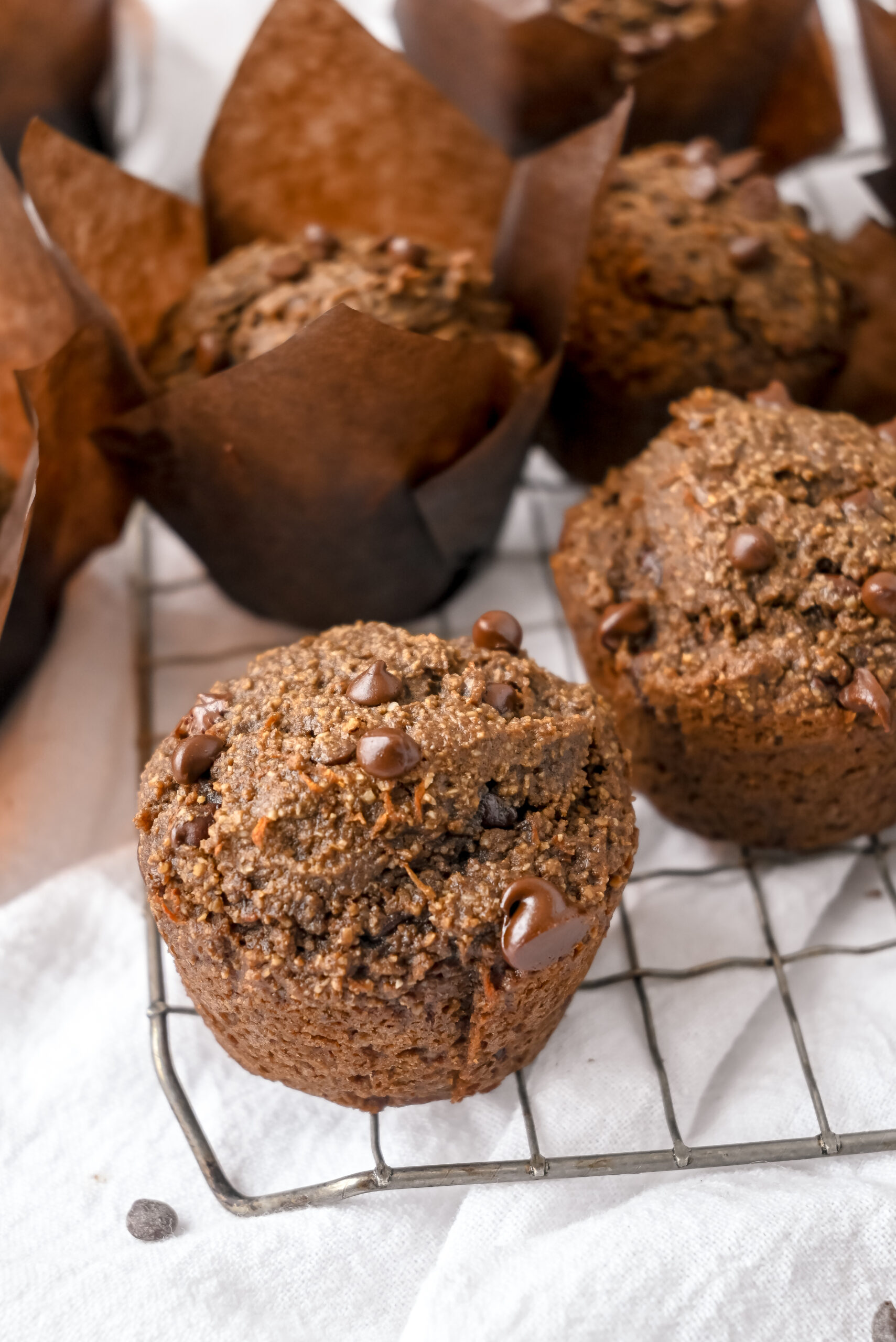 Close-up of chocolate muffins on baking rack